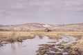 Dry grass. Mountain landscape. Grey sky. Water