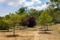 Dry Grass and Trees with the Triborough Bridge in the background during Summer at Randalls and Wards Islands in New York City Royalty Free Stock Photo