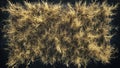 dry grass plant texture background Royalty Free Stock Photo