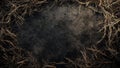 dry grass plant texture background Royalty Free Stock Photo