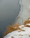 Dry grass in the snow against the background of melting ice in the river. Natural background