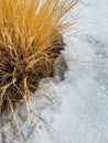 Dry grass and snow at the Seismiles Route in Catamarca, Argentina