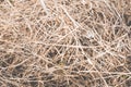 Dry grass after spring work in garden Royalty Free Stock Photo