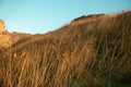 Dry grass in the steppe with hills and canyons, photo. Nature, wildlife and landscape