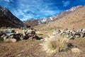 Dry grass turf in High Atlas mountains