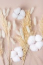 dry grass under glass. Dried grass with glass bottle isolated