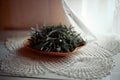 dry grass in wooden plate onthe table