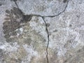 Dry gray cracked asphalt. Abstract minimalistic background. Royalty Free Stock Photo