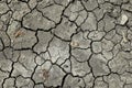 Dry gray cracked clay background texture. Dried muddy desert Royalty Free Stock Photo