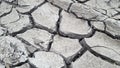 Dry gray cracked earth or clay desert textured background, closeup Royalty Free Stock Photo