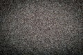 Dry gray poppy seeds texture