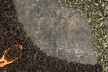 Dry green and black tea leaves with spoon on grey background Royalty Free Stock Photo