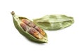 Dry green cardamom pod with seeds on white background, closeup Royalty Free Stock Photo