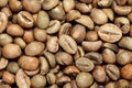 Dry green coffee beans (Coffea arabica) Royalty Free Stock Photo