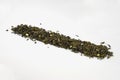 Dry green leaf tea aligned pile (line), closeup (macro) Royalty Free Stock Photo
