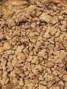 Dry ground of cracked clay with tuft of grass.