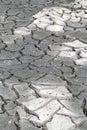 Dry Ground Cracking Because of a Hot and Dry Weather