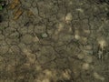 Dry ground with cracks Royalty Free Stock Photo