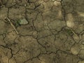 Dry ground with cracks Royalty Free Stock Photo