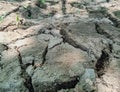 Dry Ground Cracks In The Earth Have Mosaic Texture Background. Royalty Free Stock Photo