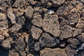 Dry ground texture with cracks on sunny day in nature Royalty Free Stock Photo