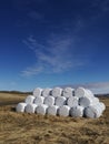 Dry hay bale in white plastic bag, Agriculture field on sunny sky,Iceland rural nature farm land,Straw on meadow,Wheat yellow gold Royalty Free Stock Photo