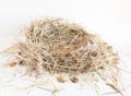 Dry hay isolated. A pile of straw on a white background. The dry grass is folded in the shape of a nest Royalty Free Stock Photo