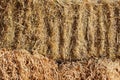 Dry hay straw yellow background texture. Dry rice straw texture for background and design, hay bale pattern in sunlight Royalty Free Stock Photo