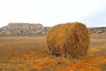 Dry haycock in a field Royalty Free Stock Photo