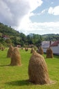 Dry haycock on the sunny field Royalty Free Stock Photo