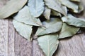 Dry herb bayleaf, Laurier on the wooden cutting board