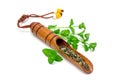 Dry herbal mint tea in traditional korean wooden tea scoop and fresh peppermint on background, isolated, horizontal