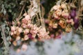 dry herbarium of flowers close up. Herbarium of flowers close up Royalty Free Stock Photo