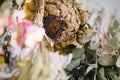 dry herbarium of flowers close up. Herbarium of flowers close up Royalty Free Stock Photo