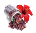 Dry hibiscus tea in glass jar with flower. Isolated on white background.
