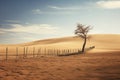 The dry hills look like sand dunes with a lone tree and a fence on the farm. A concept reflecting global warming or climate change