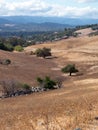 Dry hilly Californian landscape near San Jose