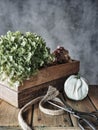 Dry hydrangea in wooden box, white decorative pumpkin and scissors on table