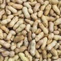 Dry Inshell peanuts texture. Food