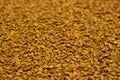 Dry instant coffee granules - brown texture