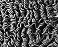Dry instant noodles texture background, Abstrack art, B&W Royalty Free Stock Photo