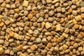 Dry kibble pet food. Dog or cat food. Top view Royalty Free Stock Photo