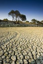 Dry Lake Royalty Free Stock Photo