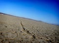Dry lake bed with a wheel groove Royalty Free Stock Photo