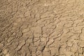 A dry lake at summer time Royalty Free Stock Photo