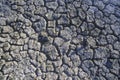 Dry Lakebed, Soda Lake, California Royalty Free Stock Photo