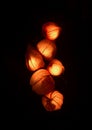 Dry Lampion, Dried branch of physalis lanterns Royalty Free Stock Photo