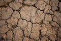 Dry land barren cracked texture Royalty Free Stock Photo