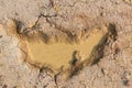 Dry land with broken soil represent hot weather and global warming. Aerial view showing low water level . Climate change and droug