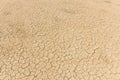 Dry land. Cracked ground background. Royalty Free Stock Photo